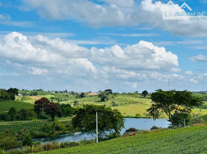 Lên giỏ một lô đất biệt thự siêu đẹp ngay hồ đồi chè Tâm Châu - thành phố Bảo Lộc. - 2