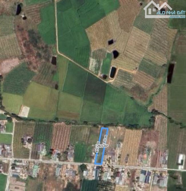 Cần bán đất Biển 1262.6m2 Hẻm Lý Thái Tổ, xã Tân Tiến, Thị Xã LaGi Giá Ngộp - 3