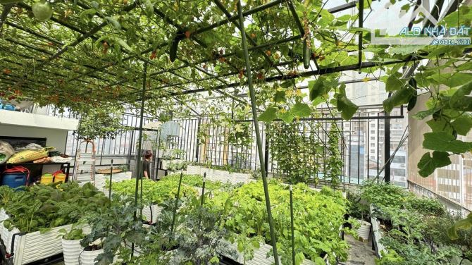 Tuyệt Phẩm! Bán nhà Nguyễn Hoàng, Phân lô, Thang máy, KD Đỉnh, 80m2 7T MT 6.7m, 35.x tỷ - 5