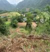 Bán gấp 1,3ha đất thổ cư vườn rừng hỗn hợp tại Kim Bôi Hòa Bình