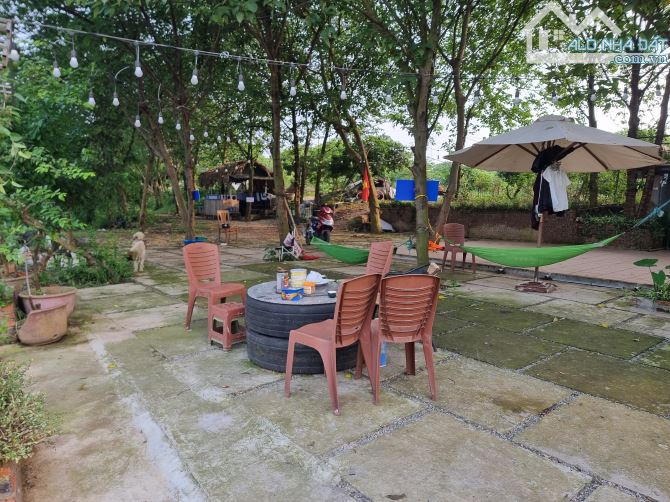 Cần bán 4000m2 mặt sông Hồng-Phường Tứ Liên-Tây Hồ-Hà Nội view sông 50m - 12