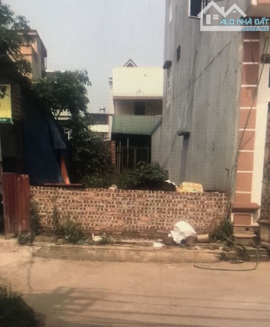 Bán đất thổ cư thôn Đông -  xã Tàm Xá - huyện Đông Anh: 85 m2 - giá 170 triệu/m2. - 2
