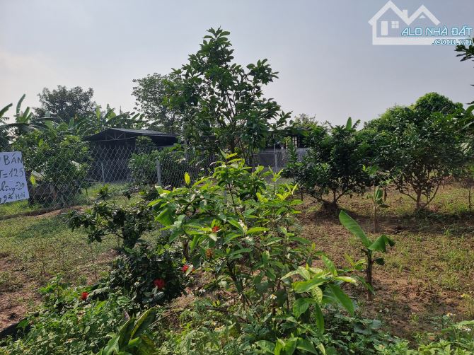 Cần bán 4000m2 mặt sông Hồng-Phường Tứ Liên-Tây Hồ-Hà Nội view sông 50m - 13