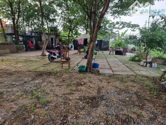 Cần bán 4000m2 mặt sông Hồng-Phường Tứ Liên-Tây Hồ-Hà Nội view sông 50m - 15