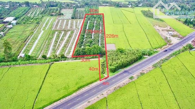 BÁN 7.794m2. ĐẤT MẶT TIỀN TL 922 THUỘC TRƯỜNG LẠC Ô MÔN. TP. CẦN THƠ