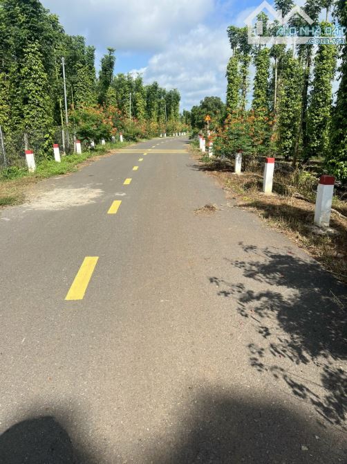 BÁN GẤP GẦN 1,3 HA ĐẤT BÁM HỒ SÔNG RAY GIÁ 11,3 TỶ - 2