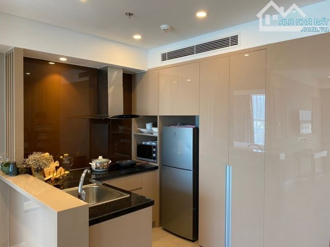 Cho thuê căn hộ tại Alphanam Luxury Apartment Da Nang 2PN hiện đại giá tốt-TOÀN HUY HOÀNG - 1