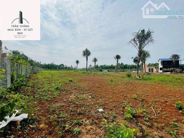 Đất View Hồ Sông Ray Giáp mặt nước - 15