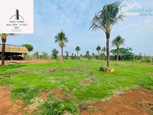 Đất View Hồ Sông Ray Giáp mặt nước - 3