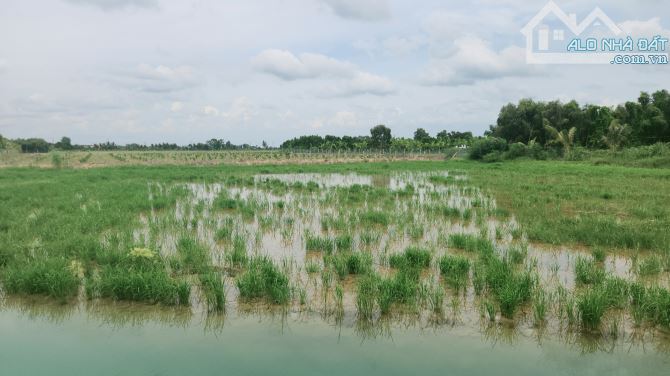 Bán đất vườn , thổ cư Đường Kênh cửa đông P2 ,Kiến Tường, Long An giá 4ty hết đất - 3