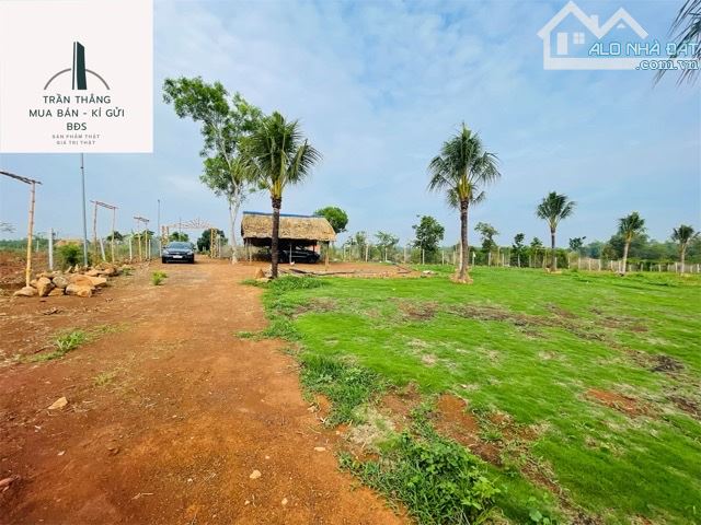 Đất View Hồ Sông Ray Giáp mặt nước - 4