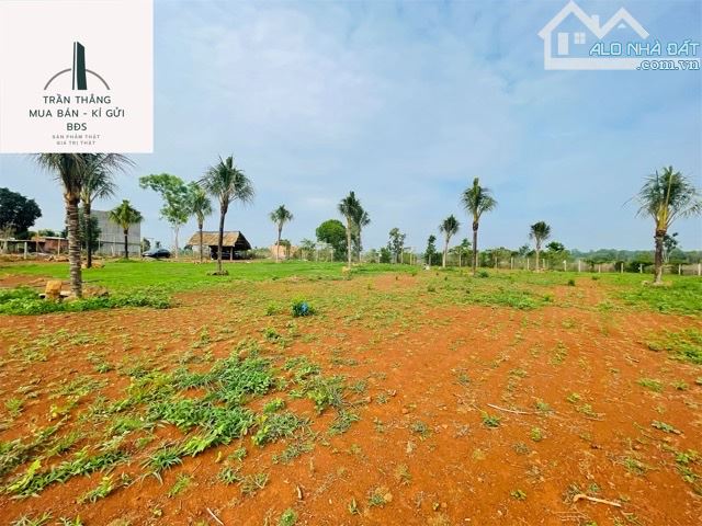 Đất View Hồ Sông Ray Giáp mặt nước - 6