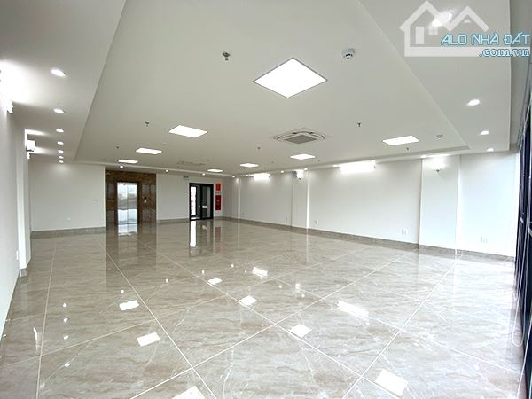 Cho Thuê Tòa Văn Phòng 9 Tầng Xây Mới Mặt Phố Vũ Tông Phan. DT 145m2.Mt 9m. Giá 140tr/t - 6