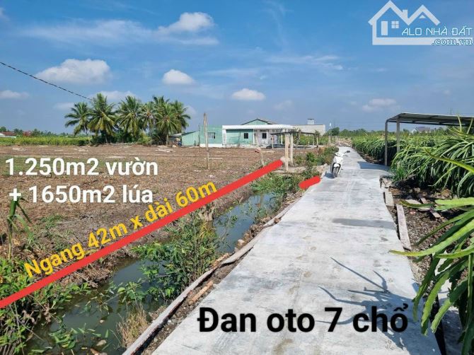 570tr/1000m2 đường oto cách Bệnh Viện Sản Nhi thành phố Tân An 5km