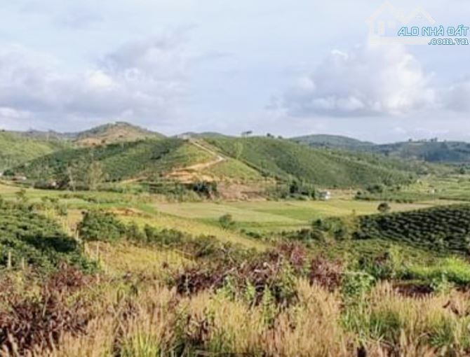 Bán lô đất 1000m xã Phi Tô Lâm Hà có 100m đất ở giá 1 Tỷ 2 - 1