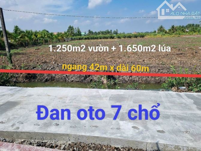 570tr/1000m2 đường oto cách Bệnh Viện Sản Nhi thành phố Tân An 5km - 1