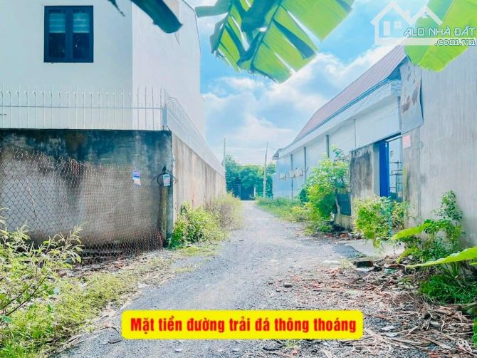 ĐẤT SIÊU ĐẸP CẠNH BÊN KHU BIỆT THỰ ĐƯỜNG TRẦN VĂN CHẨM CÓ SHR GIÁ 710TR - 2