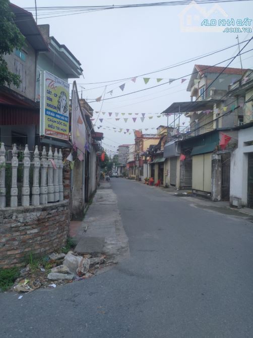 Bán đất 218m2 tại thôn Trung Thành, xã Đại Lai, huyện Gia Bình - 2