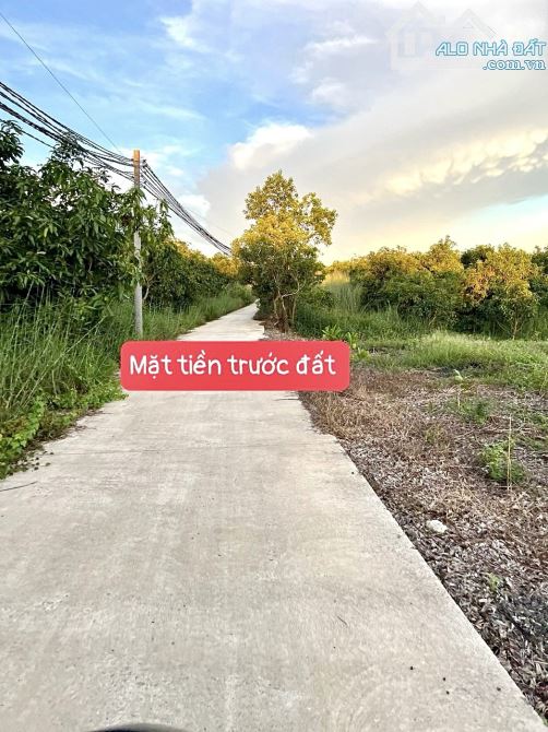 ✨ 1.100m2 Mặt tiền ngang 16-17M, đường Bê Tông 4M, Ôtô tận đất, cách Nhựa chỉ 200m - 709Tr - 2