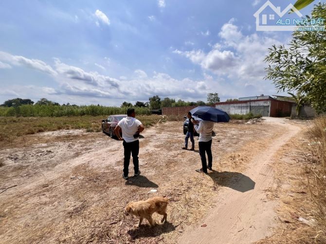 ✨ Ngang 22 dài 46 (Tổng: 1.000m2) QH: ĐẤT Ở 100%, 1/ đường Hùng Vương cách 50m - 4,5Tr/ m2 - 2