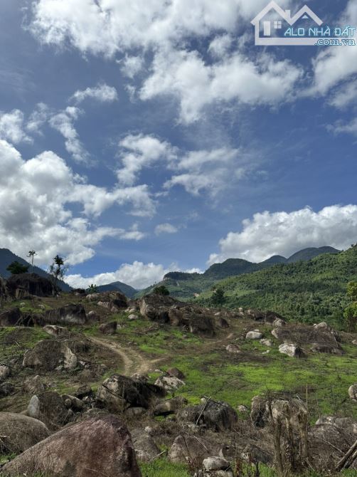 Bán lô đất vườn phù hợp làm farm - 1