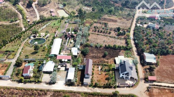 🏆Cần bán đất tại xã Tà Nung DT 3014m2 có chuyển chuyển đổi 90% thổ cư giá 18 tỷ - 3