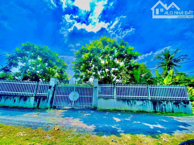 Hóc Môn 3.220m2 đất giá chỉ 8.9 tỷ Dành cho nhà đầu tư - 1