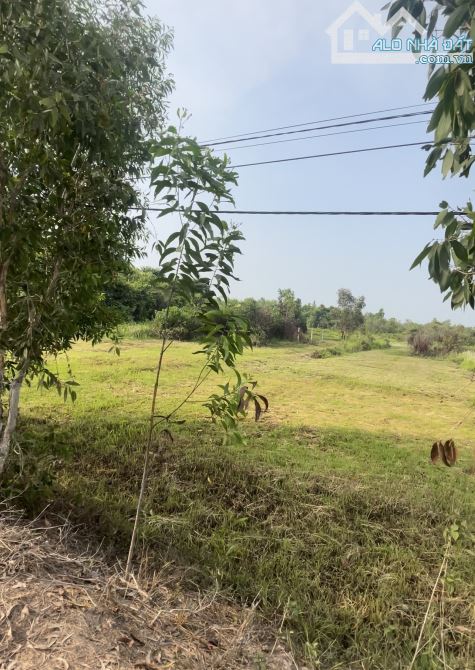 Cần bán lô đất vườn 19.000m2 mặt tiền sông Sài Gòn gần Khu Du Lịch, xã An Phú, Củ Chi - 1