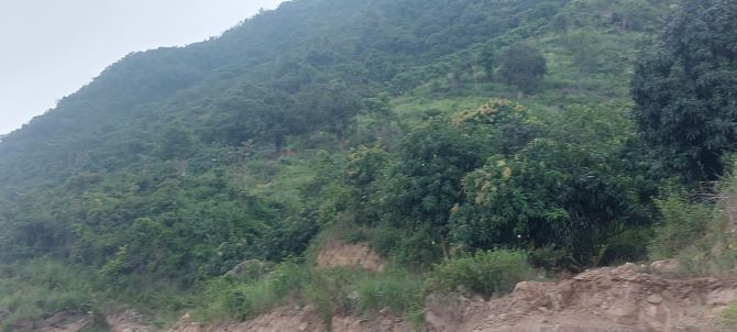 Bán lô đất mt tỉnh lộ 3 view đẹp - 1