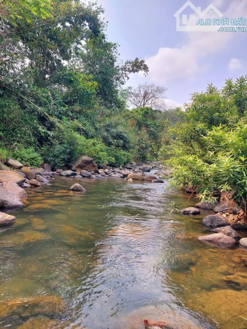 Bán lô đất vườn nghỉ dưỡng 4500m2 mặt tiền nhựa suối bao quanh khu dân cư chỉ 2tỷ450 - 1