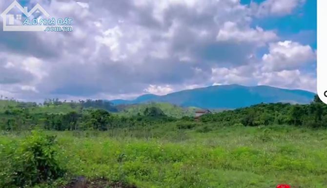 CHÍNH CHỦ BÁN LÔ ĐẤT 10.440M2 (100M2 THỔ CƯ) TẠI XÃ TAM BỐ, HUYỆN DI LINH, LÂM ĐỒNG - 2