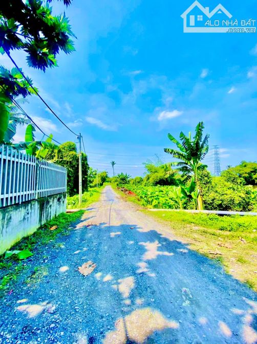Hóc Môn 3.220m2 đất giá chỉ 8.9 tỷ Dành cho nhà đầu tư - 2
