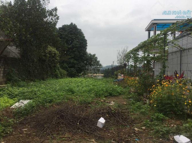 Bán gấp đất lô góc tại phường Xuân Khanh - 2