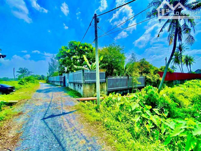 Hóc Môn 3.220m2 đất giá chỉ 8.9 tỷ Dành cho nhà đầu tư - 4