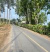 Chủ gởi bán đất 1.074m2 có sẵn 300m2 thổ cư đường Nguyễn Thị Chì, xã An Nhơn Tây