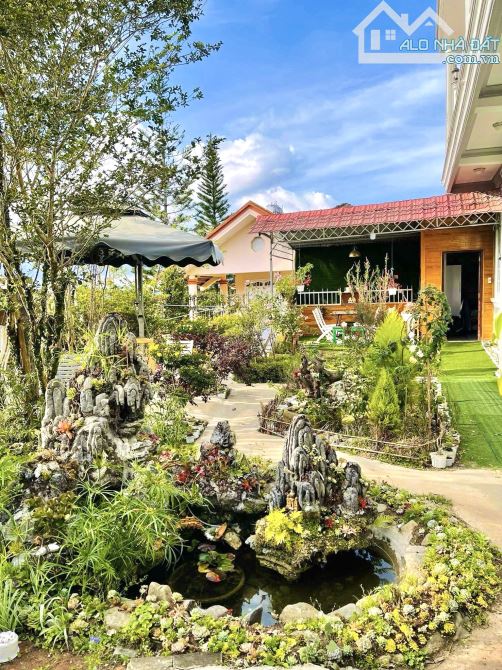 VILLA SÂN VƯỜN 367M2 KHU QUY HOẠCH LÝ NAM ĐẾ P8 ĐÀ LẠT VIEW ĐẸP 27TỶ