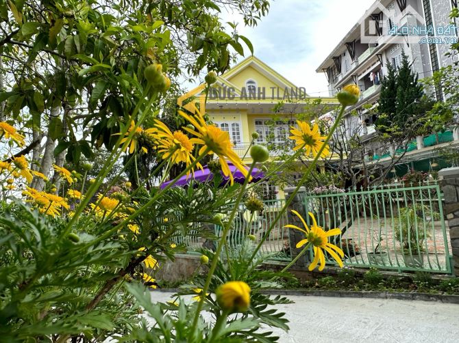 Villa sân vườn view thoáng đẹp Phù Đổng Thiên Vương, P8, Đà Lạt, 368m2 full xây dựng, 27tỷ - 1