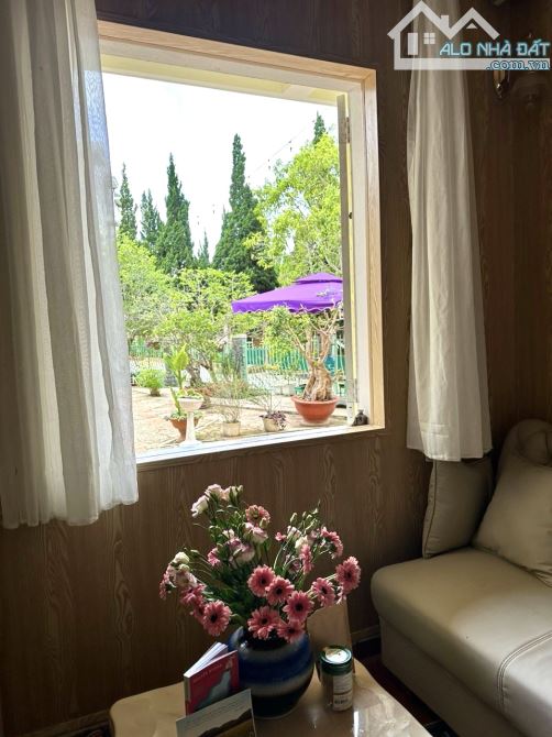 VILLA SÂN VƯỜN 367M2 KHU QUY HOẠCH LÝ NAM ĐẾ P8 ĐÀ LẠT VIEW ĐẸP 27TỶ - 9