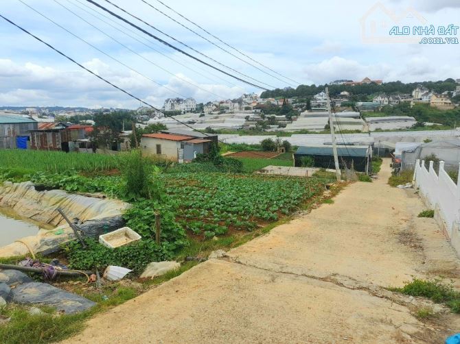 Bán đất đẹp khu dân cư trung tâm Đà Lat, gần khu lịch Thung Lũng Tình Yêu