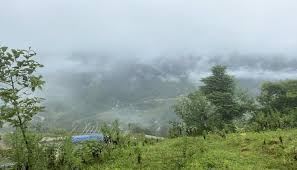 ĐẤT HOÀNG GIA CUNG ĐƯỜNG TRẦN QUANG DIỆU VIEW THÔNG VĨNH VIỄN TẠI ĐÀ LẠT - 2