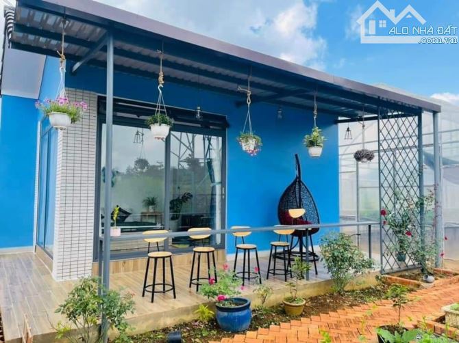 Bán nhà Homestay phường 2 thành phố Bảo Lộc - 930m2 - ngang 12m, gần chợ khu 6, nhỉnh 5 tỷ - 2