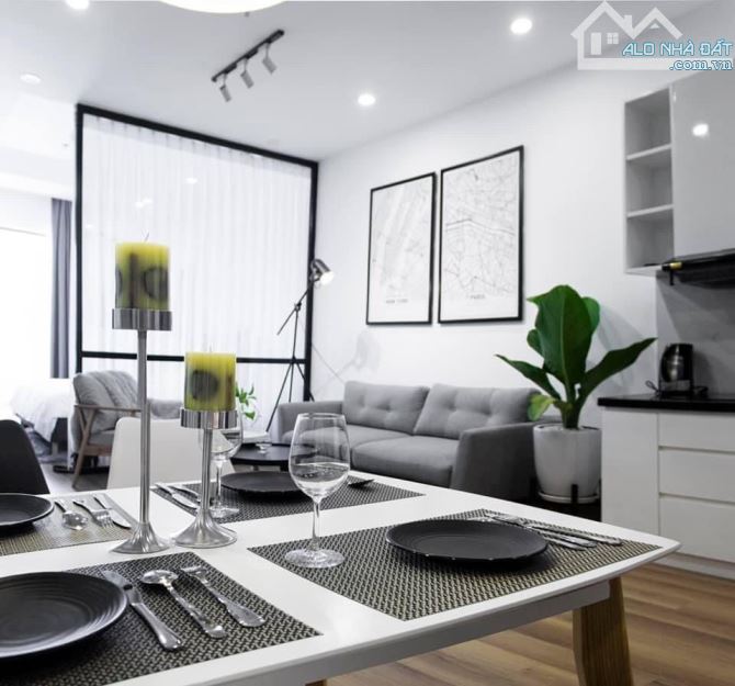 Cho thuê căn hộ chung cư TMS Luxury Quy Nhơn - 2