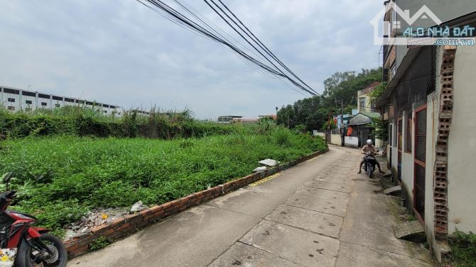 Cần bán ô đất tại Hùng Thắng gần bến xe Bãi Cháy 214m2 - 3