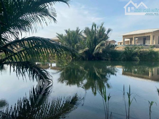 Chào bán đất Cẩm Thanh Hội An. Địa thế đẹp có view sông.