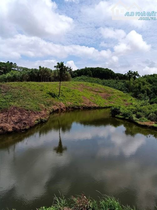 Tam Tiến - Yên Thế Bắc Giang. 3600m, 80m bám dọc vew sông đẹp. 1.x tỷ - 1