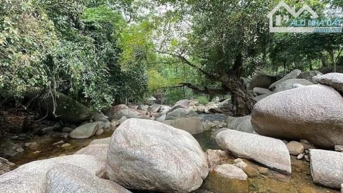 🆘 HIẾM: 4,8 TỶ - 90.000m2 (9ha): KHU DLST SUỐI XANH, QUẢNG NAM ( CÁCH ĐÀ NẴNG 35KM) - 2