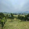 Chỉ 890 triệu, lô gần 2500m tại Cao Phong, suối trước nhà, cách  3km,view cánh đồng thoáng