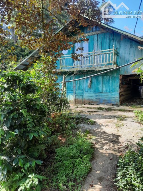 Cần bán lô đất nông nghiệp xã Xuân Thọ, tp Đà Lạt. 23.183.19m² ( 2ha3). 19ty