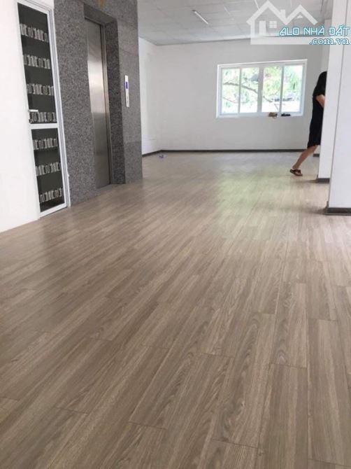 NGÕ THÔNG KINH DOANH GARA Ô TÔ 12 TỶ 50m2 5 TẦNG MT 4.2m TRẦN QUỐC HOÀN CẦU GIẤY - 3