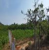 Đất chính chủ - giá cực tốt - cần bán nhanh tại huyện Đức Trọng, tỉnh Lâm Đồng